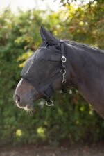Halster met Geïntegreerd Vliegenmasker en Oorbescherming Pony - Afbeelding 3