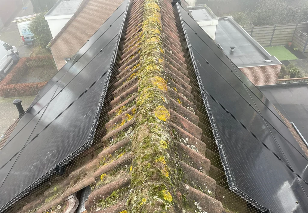 Vogelpinnen voor Zonnepanelen, 50 cm, Transparant - Afbeelding 2