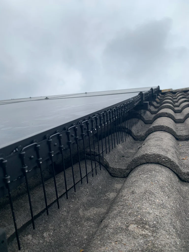 Vogelpinnen voor Zonnepanelen, 50 cm, Transparant - Afbeelding 3