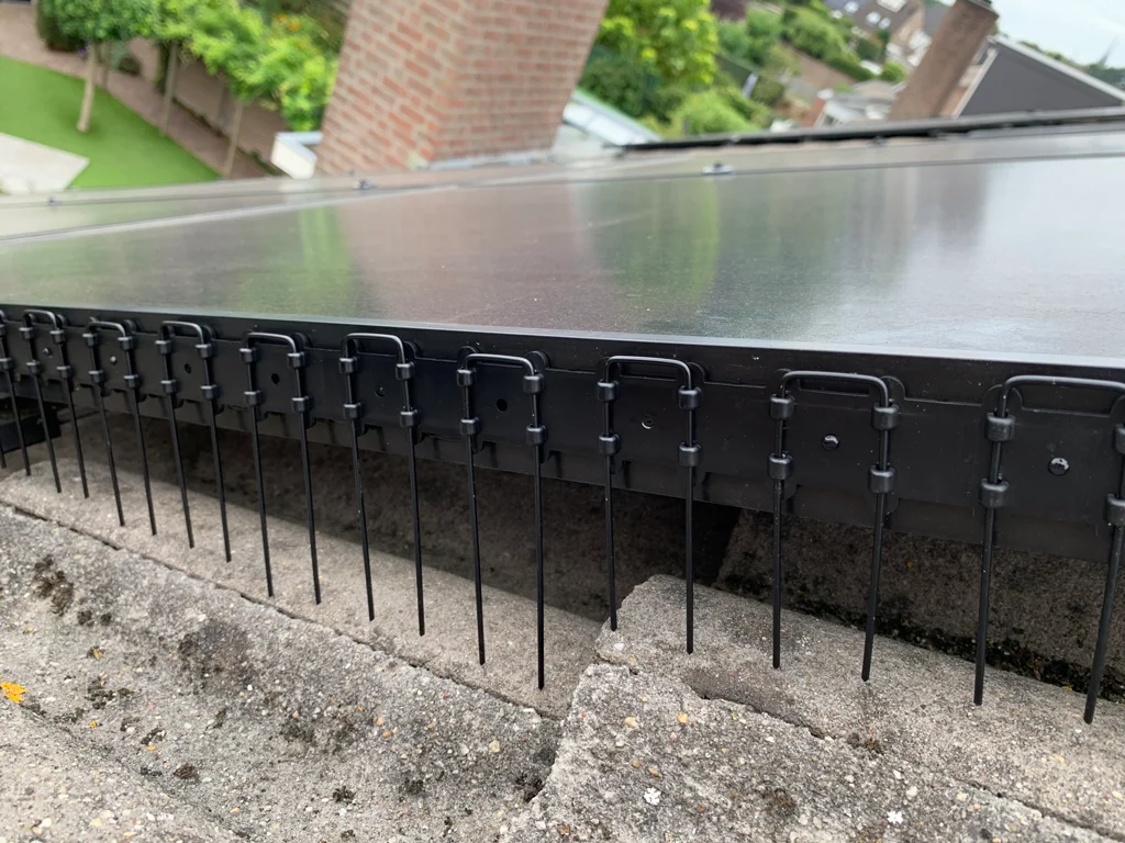 Vogelpinnen voor Zonnepanelen, 50 cm, Transparant - Afbeelding 4