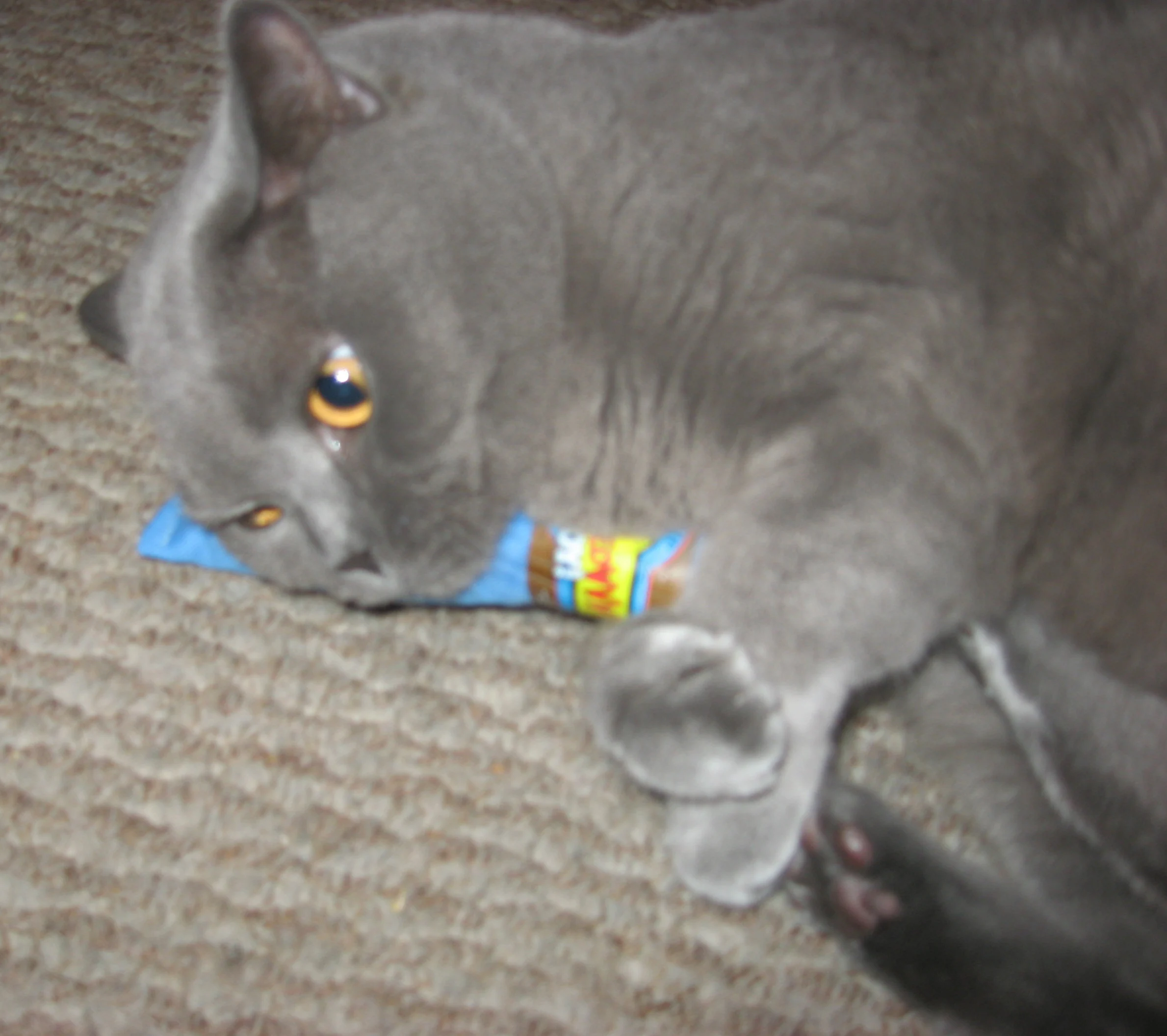 Speelsigaar voor Katten met Kattenkruid, Blauw, 18 cm – Yeowww! Cigar - Afbeelding 2