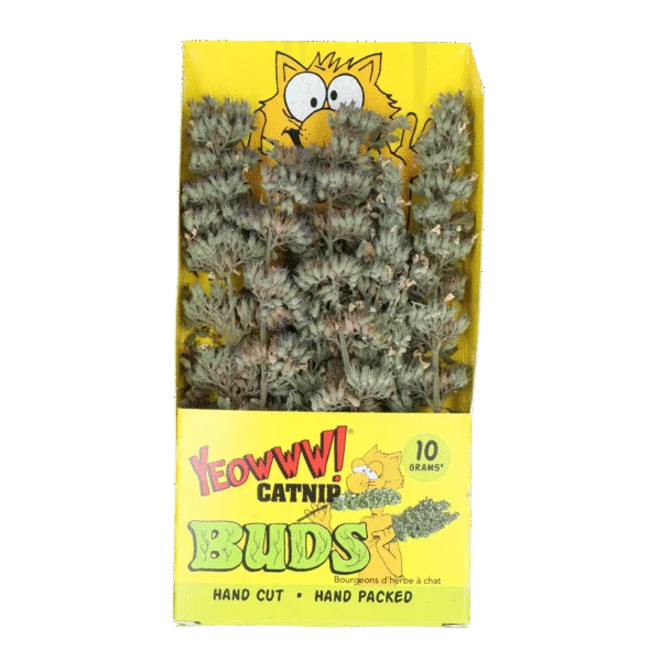 Kattenkruidtakjes 10 g in Hersluitbaar Zakje – Yeowww! Catnip Buds