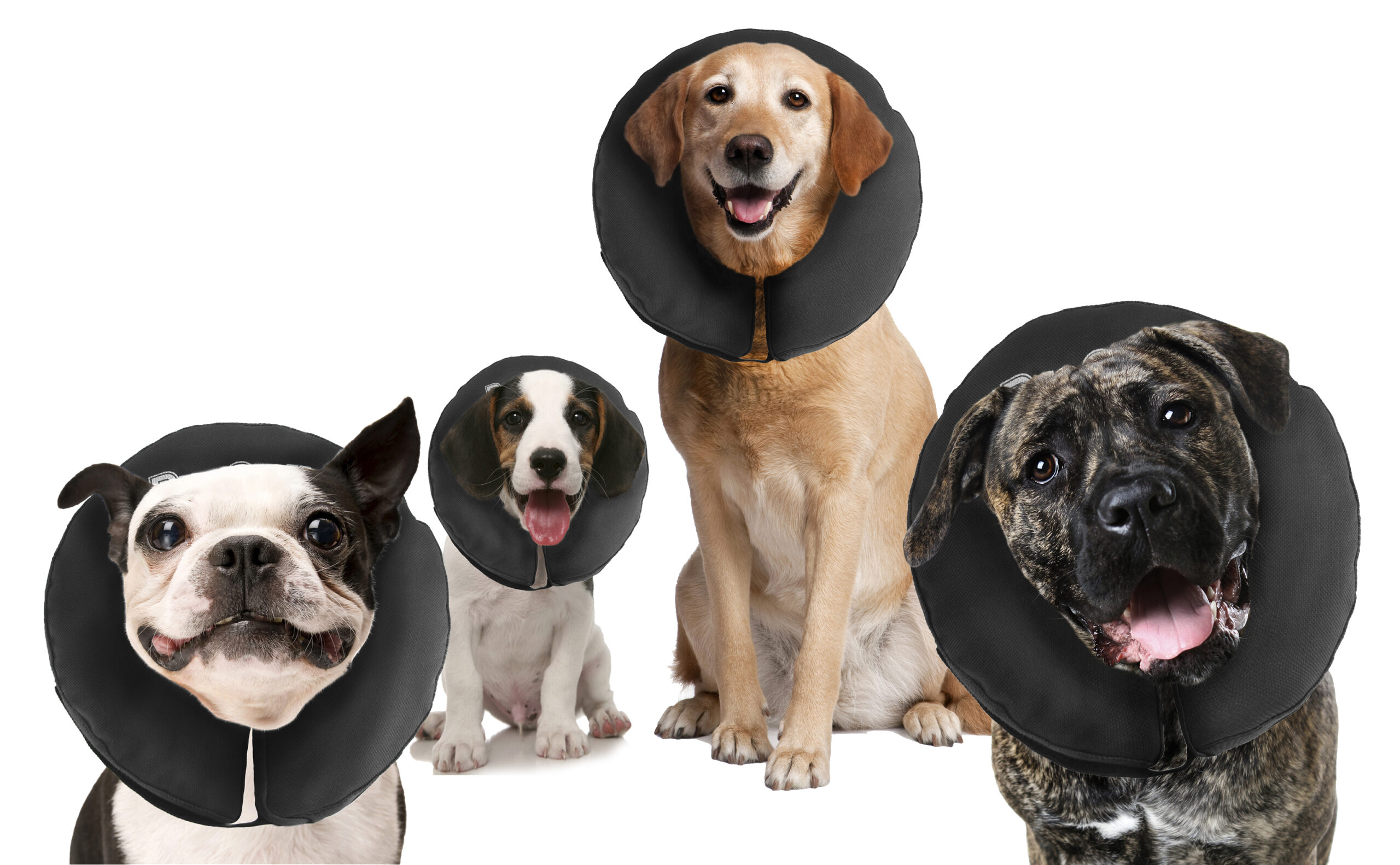 Beschermkraag voor Honden S, Wasbaar, 15,2 tot 22,9 cm – Zenpet ProCollar Beschermkraag voor Honden S, Wasbaar, 15,2 tot 22,9 cm – Zenpet ProCollar