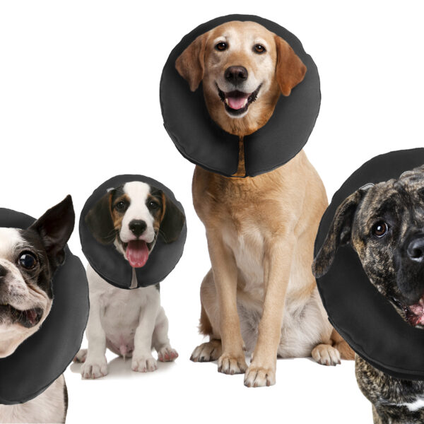 Beschermkraag voor Honden XL, Wasbaar, 40,6 tot 55,9 cm – Zenpet ProCollar