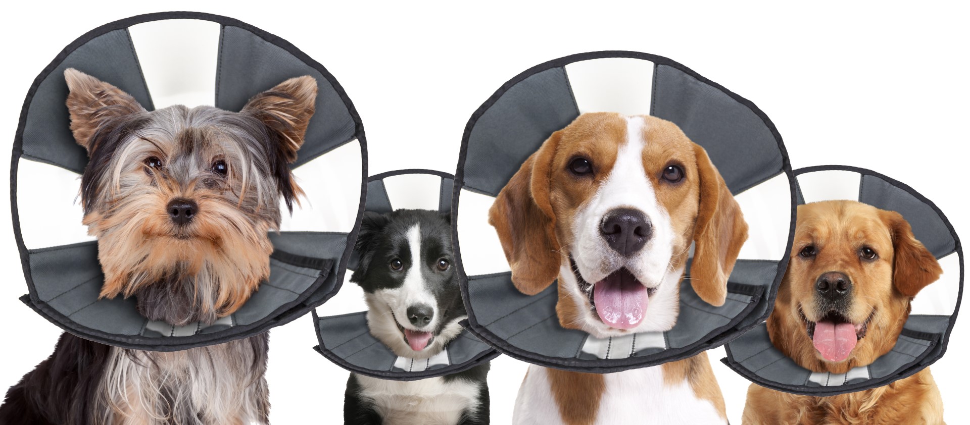 Beschermkraag Wasbaar, 30,5 tot 38,1 cm – Zenpet Procone M Beschermkraag Wasbaar, 30,5 tot 38,1 cm – Zenpet Procone M