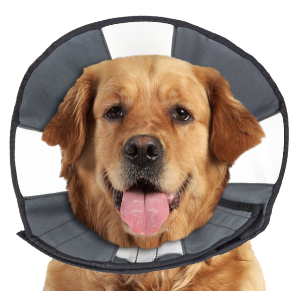 Beschermkraag Wasbaar, 45,7 tot 58,4 cm – Zenpet Procone XL