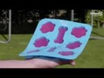 IJsvorm voor 8 Hondenijsjes – Coolpets Dog Ice Mix Tray - Afbeelding 2